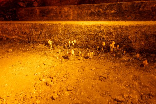 Jerusalem: Zedekia-Höhle