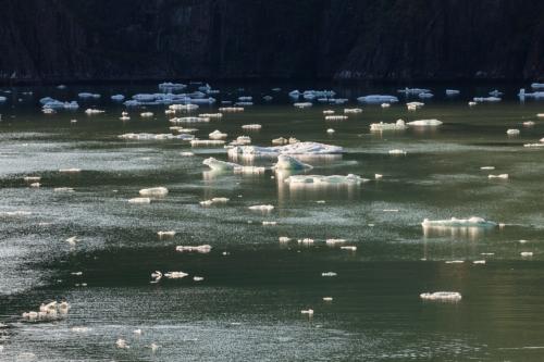 Eis im Tracy-Arm-Fjord