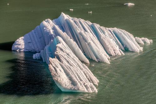 Eis im Tracy-Arm-Fjord