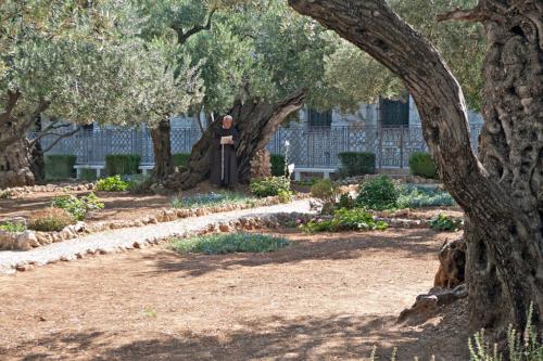 Franziskanermönch im Garten Gethsemani auf dem Ölberg