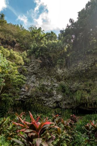 Kauai, Fern Grotto