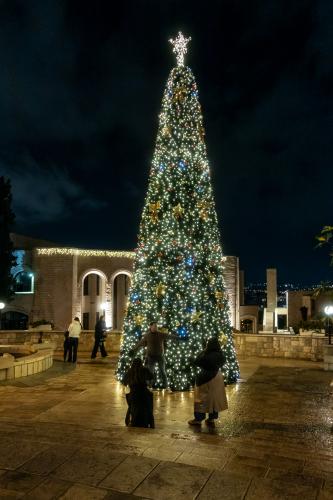 Jerusalem. Weihnachtsbaum vor dem Pilgerhaus Notre Dame