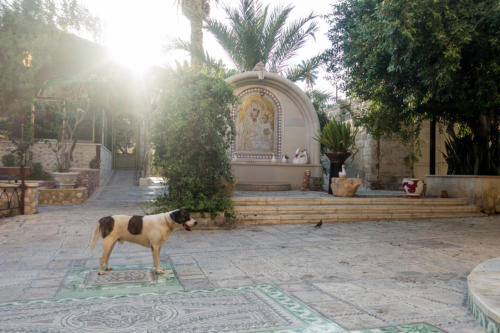 Kloster St. Gerasimus in Deir Hajla