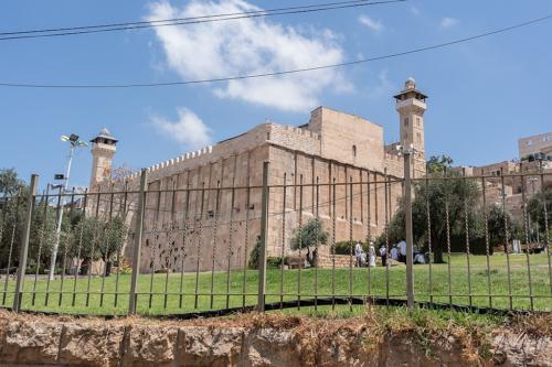 Hebron: Machpelah, Siedler auf der Wiese unter dem Baum