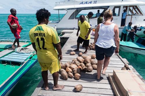 Kokosnussanlieferung auf Naalaafushi