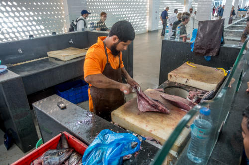 Auf dem Fischmarkt von Matrah
