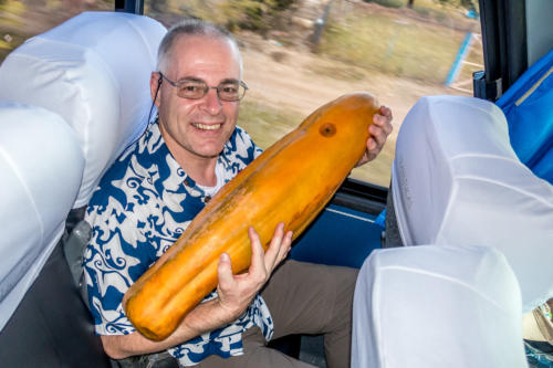 Nicaragua, San Juan del Sur: Der Autor mit einer Riesen-Papaya